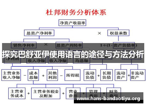 探究巴舒亚伊使用语言的途径与方法分析