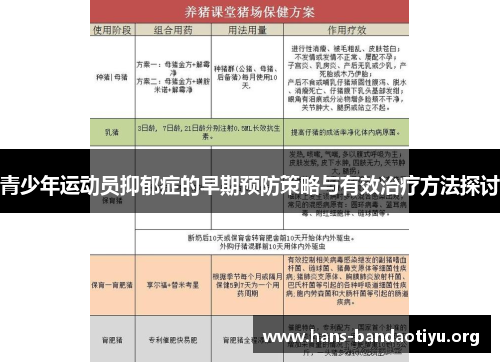 青少年运动员抑郁症的早期预防策略与有效治疗方法探讨