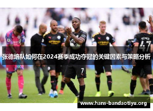 张德培队如何在2024赛季成功夺冠的关键因素与策略分析